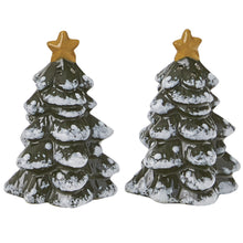 Load image into Gallery viewer, Vintage Hometown Salt &amp; Pepper Set
