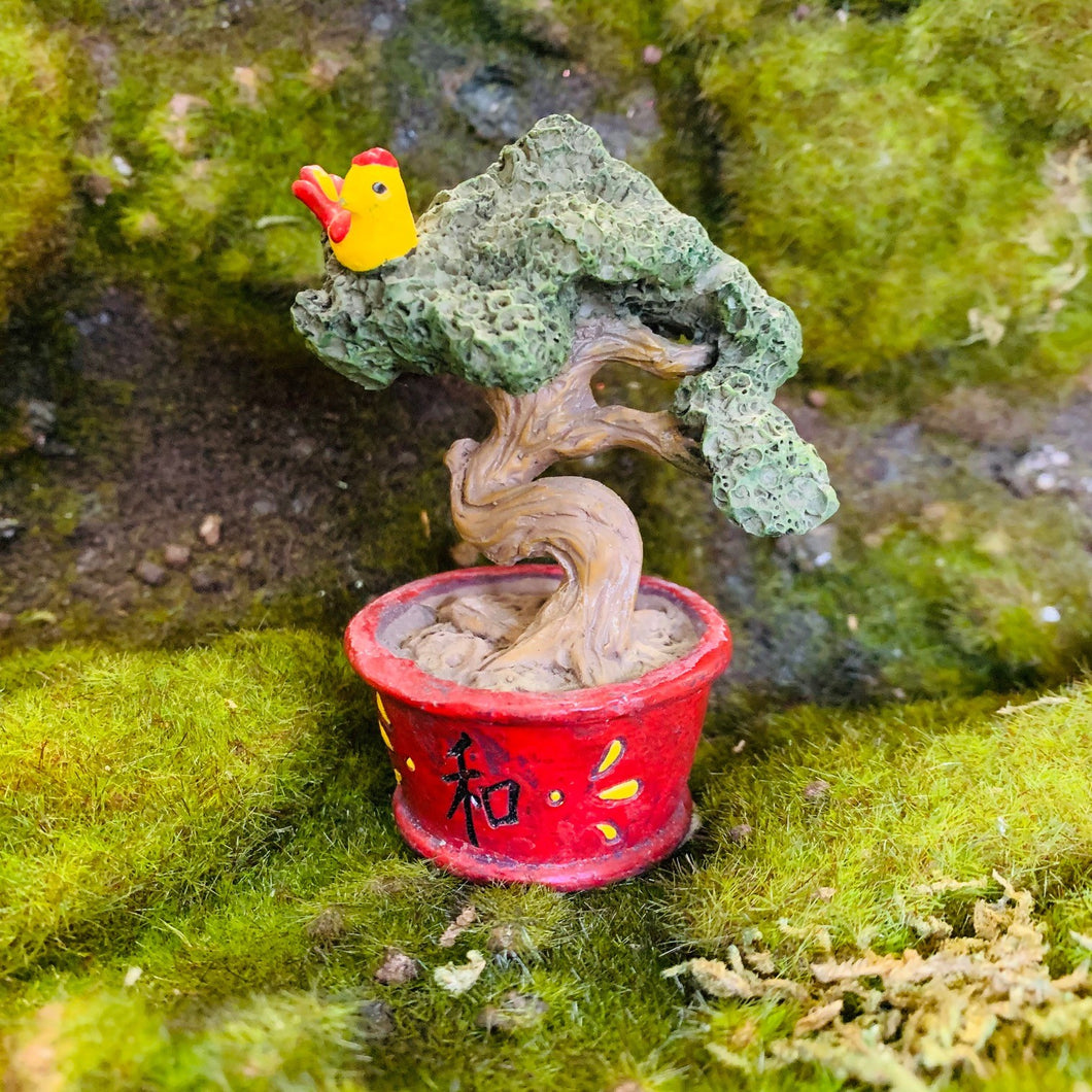 Fairy Garden Bonsai Tree