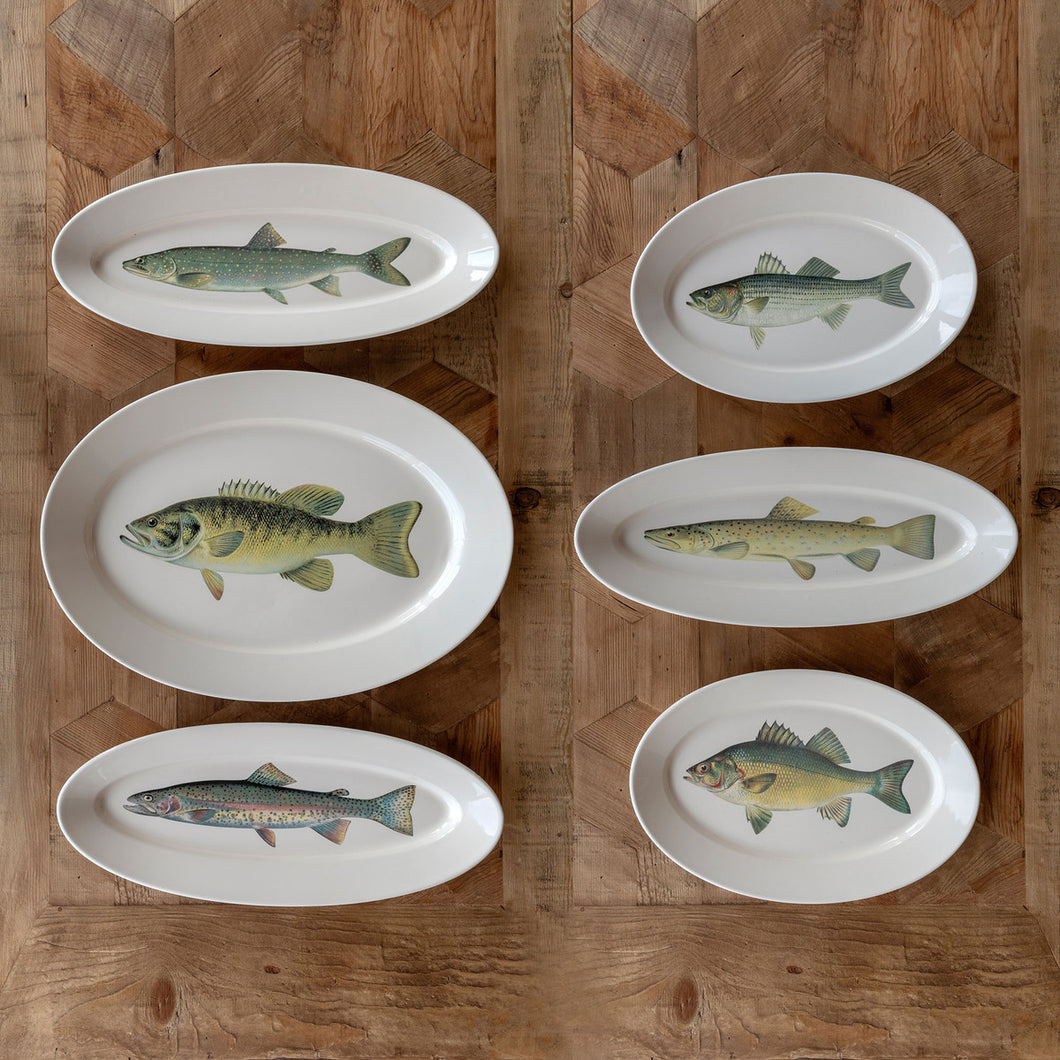 Collected Fish Platters (Set of 6)