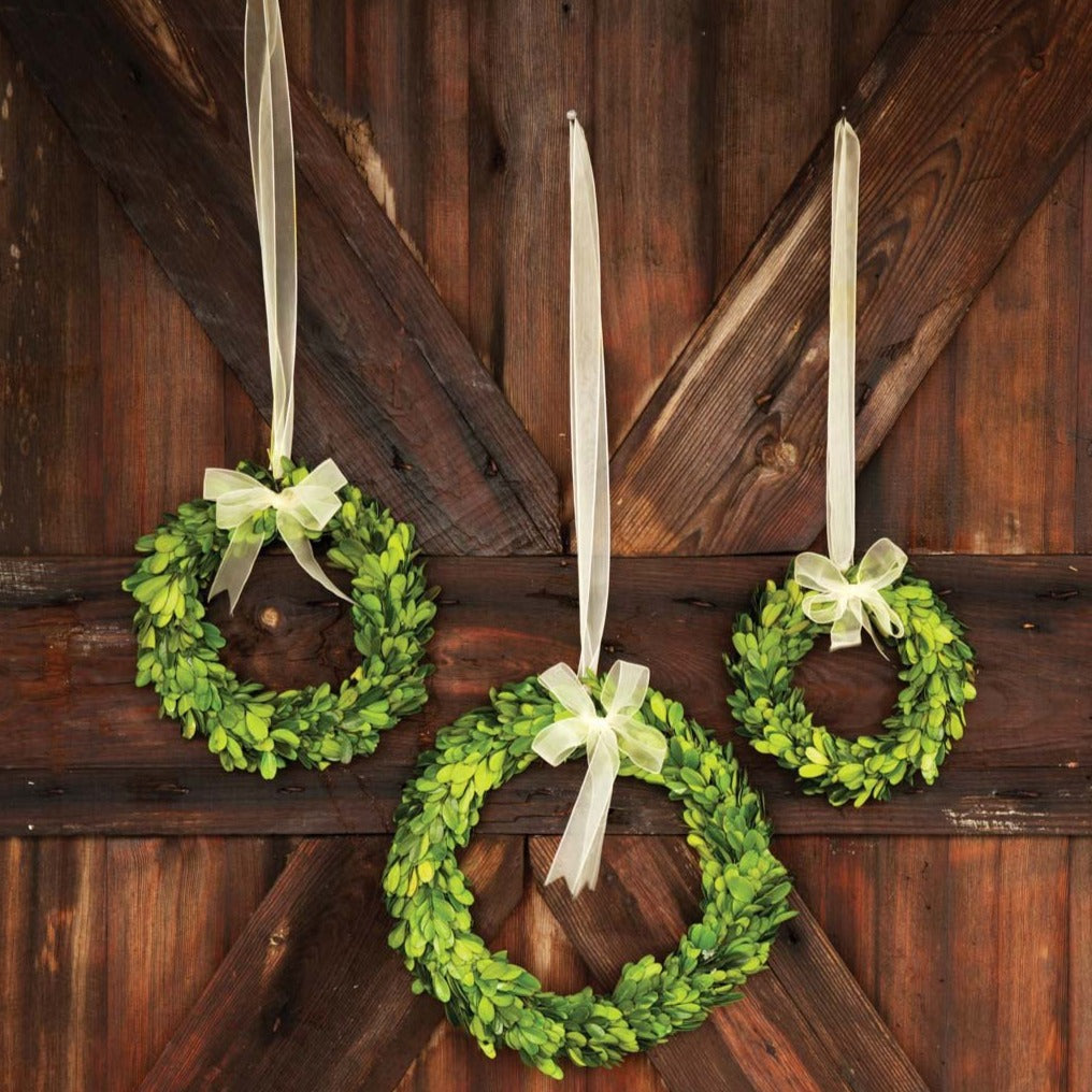 Preserved Boxwood Wreaths with Ivory Ribbon (Set of 3)