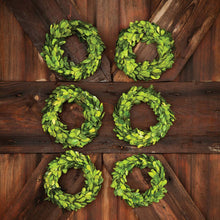 Load image into Gallery viewer, Mini Preserved Boxwood Wreaths (Set of 6)
