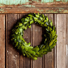 Load image into Gallery viewer, Mini Preserved Boxwood Wreaths (Set of 6)
