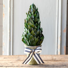 Load image into Gallery viewer, Lemon Leaf Cone Topiary 16&quot;
