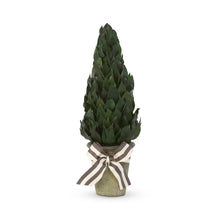 Load image into Gallery viewer, Lemon Leaf Cone Topiary 16&quot;
