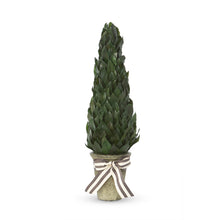 Load image into Gallery viewer, Lemon Leaf Cone Topiary 23&quot;
