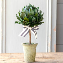 Load image into Gallery viewer, Lemon Leaf Ball Topiary 16&quot;
