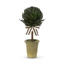 Load image into Gallery viewer, Lemon Leaf Ball Topiary 16&quot;
