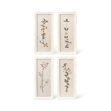 Load image into Gallery viewer, Pressed Botanical Framed Prints (Set of 4)
