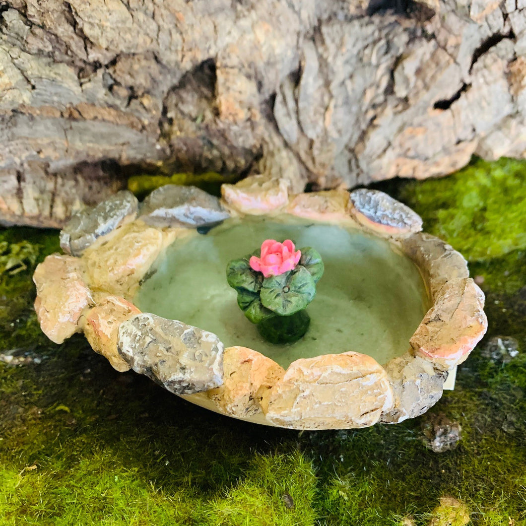 Lily Pond Fairy Garden