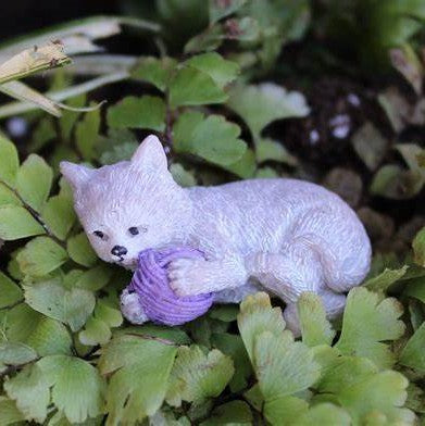 Whiskers the Kitten