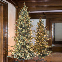 Load image into Gallery viewer, 9&#39; Park Hill Slim Line Blue Spruce LED Lights
