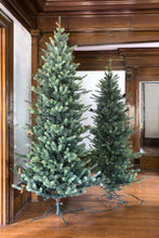 Load image into Gallery viewer, 9&#39; Park Hill Slim Line Blue Spruce LED Lights

