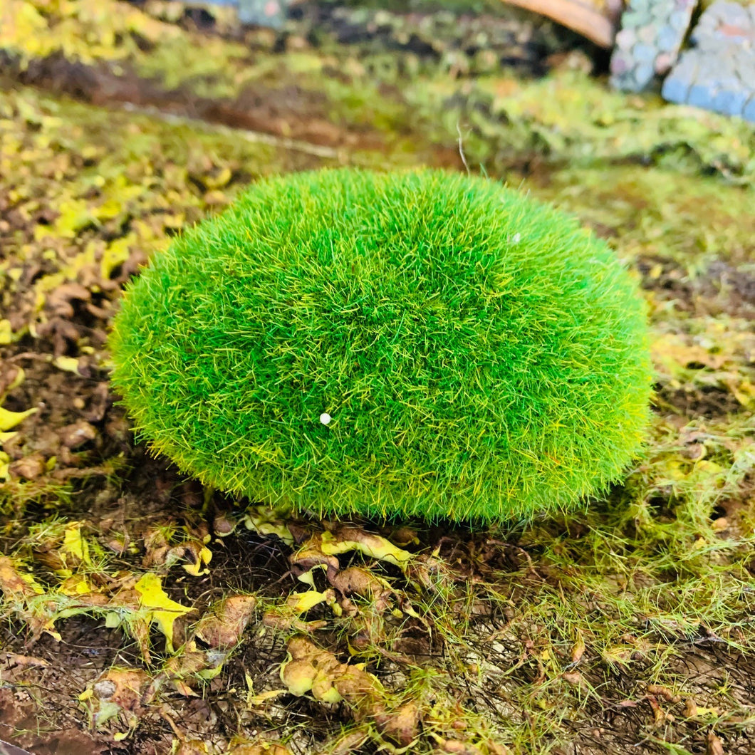 Fairy Garden Moss Hill - Medium