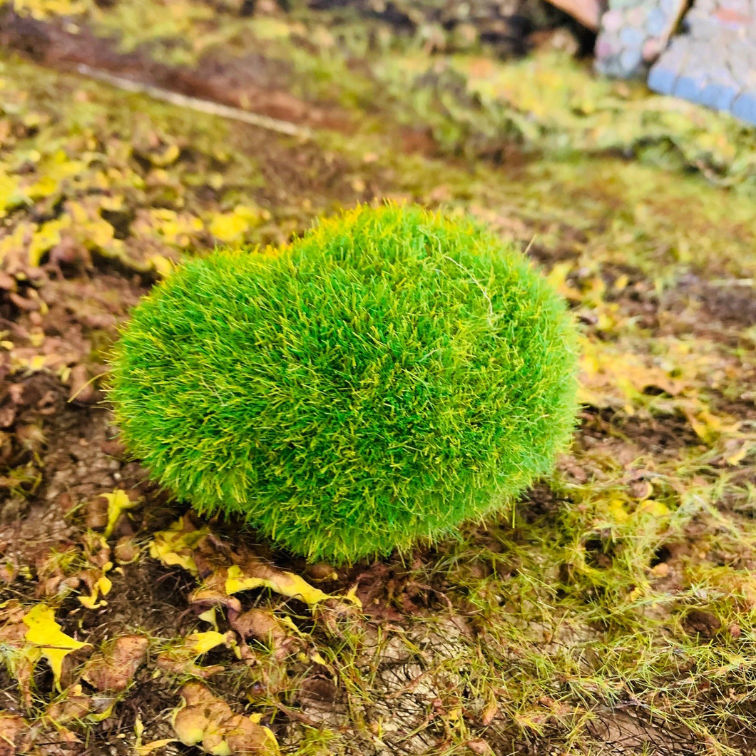 Fairy Garden Moss Hill - Small